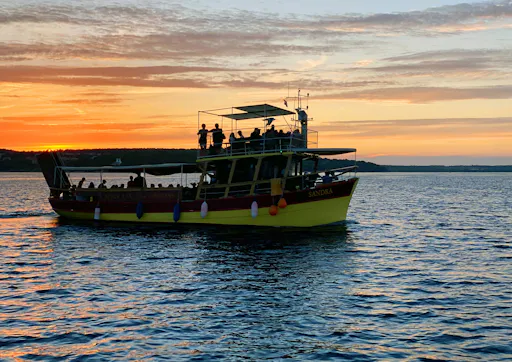 Sunset Dolphin Cruise from Medulin