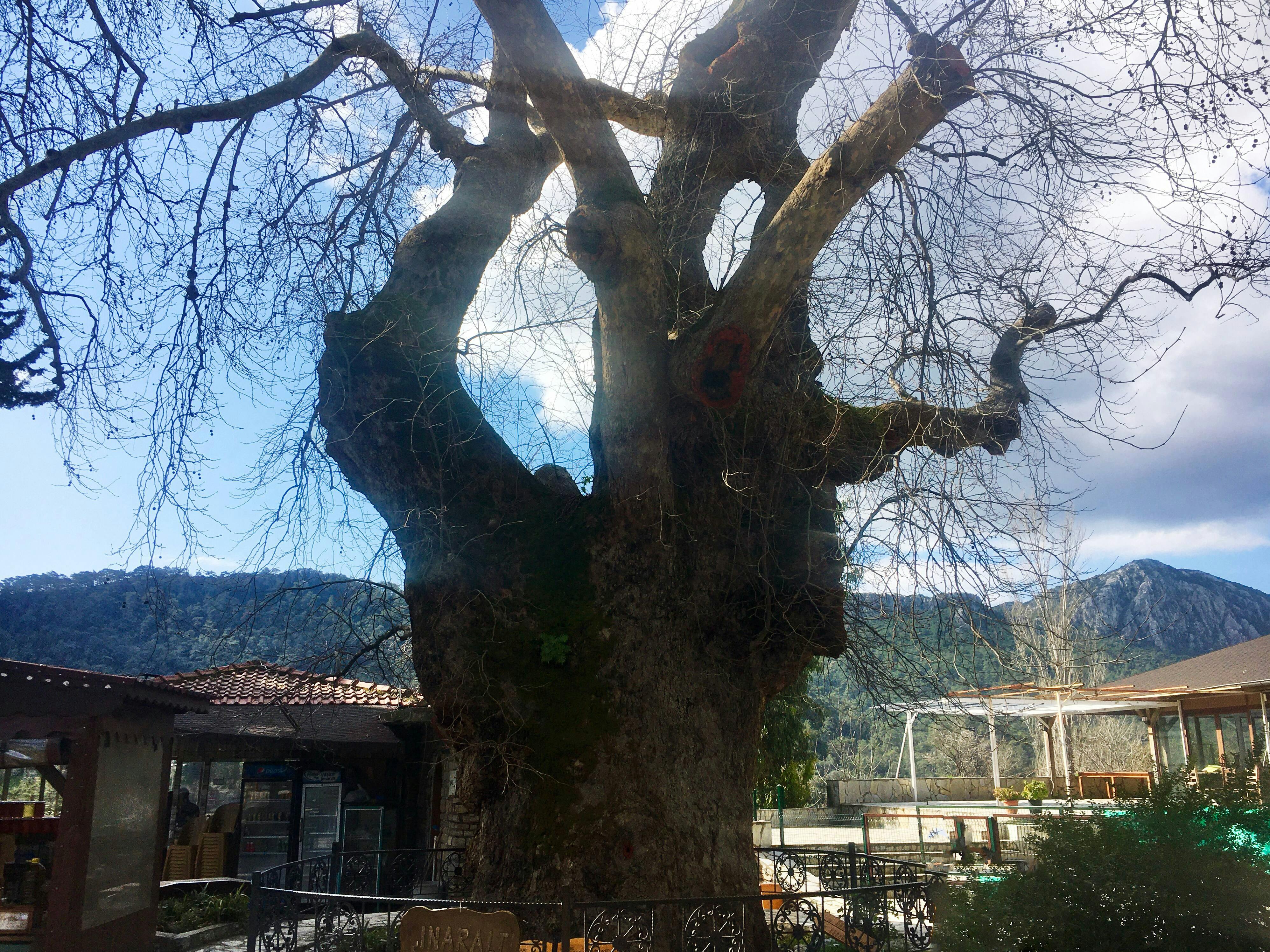 Small Group Marmaris Village Tour