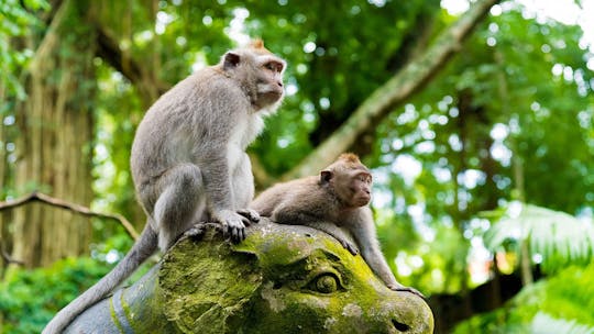 Excursão de dia inteiro aos destaques de Ubud