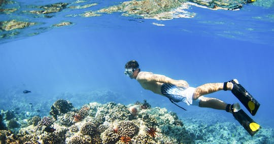 Blue Lagoon snorkeling and Lempuyang temple tour