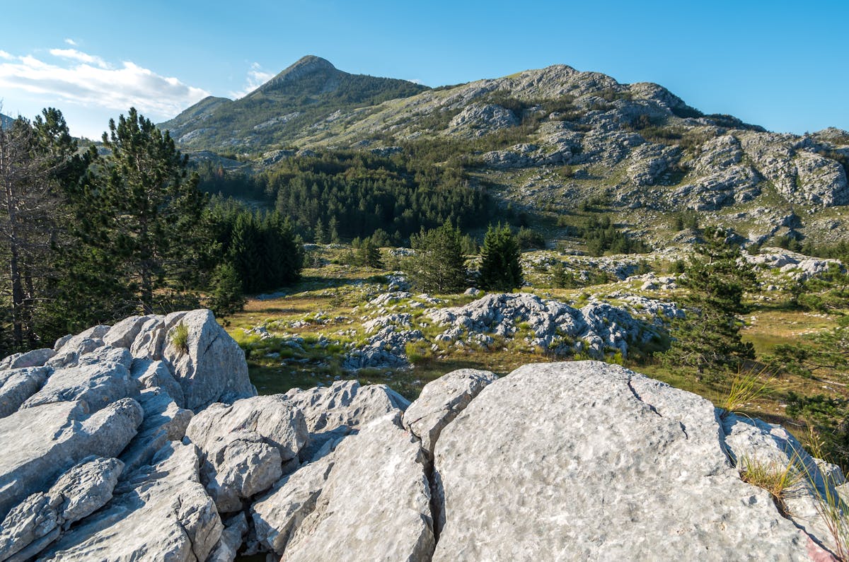 Lovćen nationaal park en Budva-stad privérondleiding van een hele dag