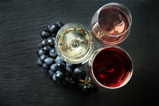 Descubra o método ancestral de vinificação na Cantina TerraQuilia