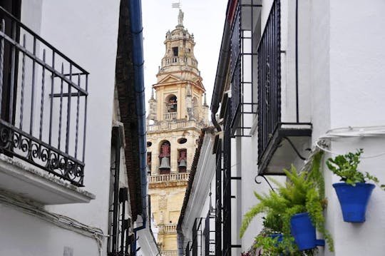 Die schönsten Innenhöfe Córdobas