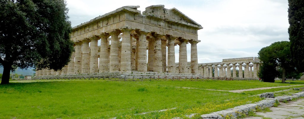 Salerno & Paestum in Private Vehicle with Driver