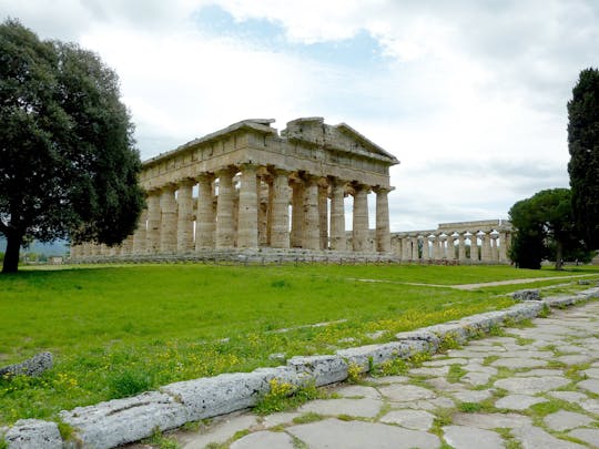 Salerno & Paestum in Private Vehicle with Driver