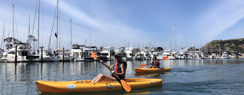 Passeio de caiaque e caminhada em Dana Point