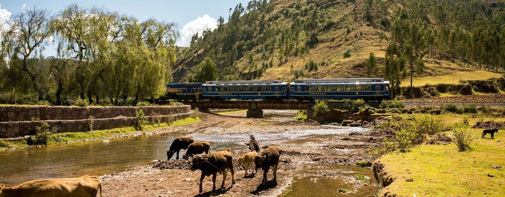 Tour guidato di Machu Picchu di un'intera giornata a bordo del treno Vistadome