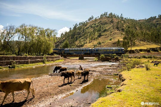 Volledige dag Machu Picchu-rondleiding aan boord van de Vistadome-trein