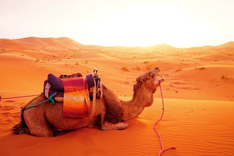 Marrakech to Merzouga 5-day desert journey tour
