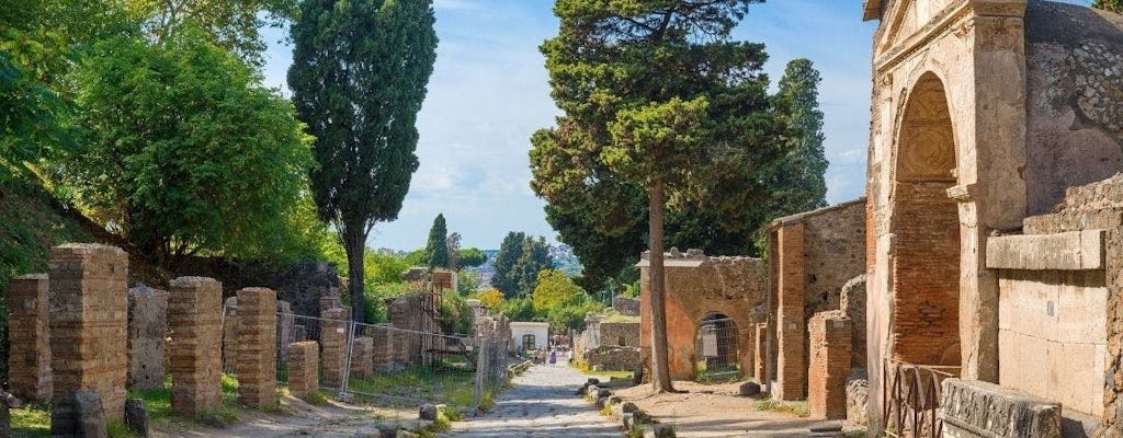 Tour di Pompei da Roma con degustazione di vini e pranzo