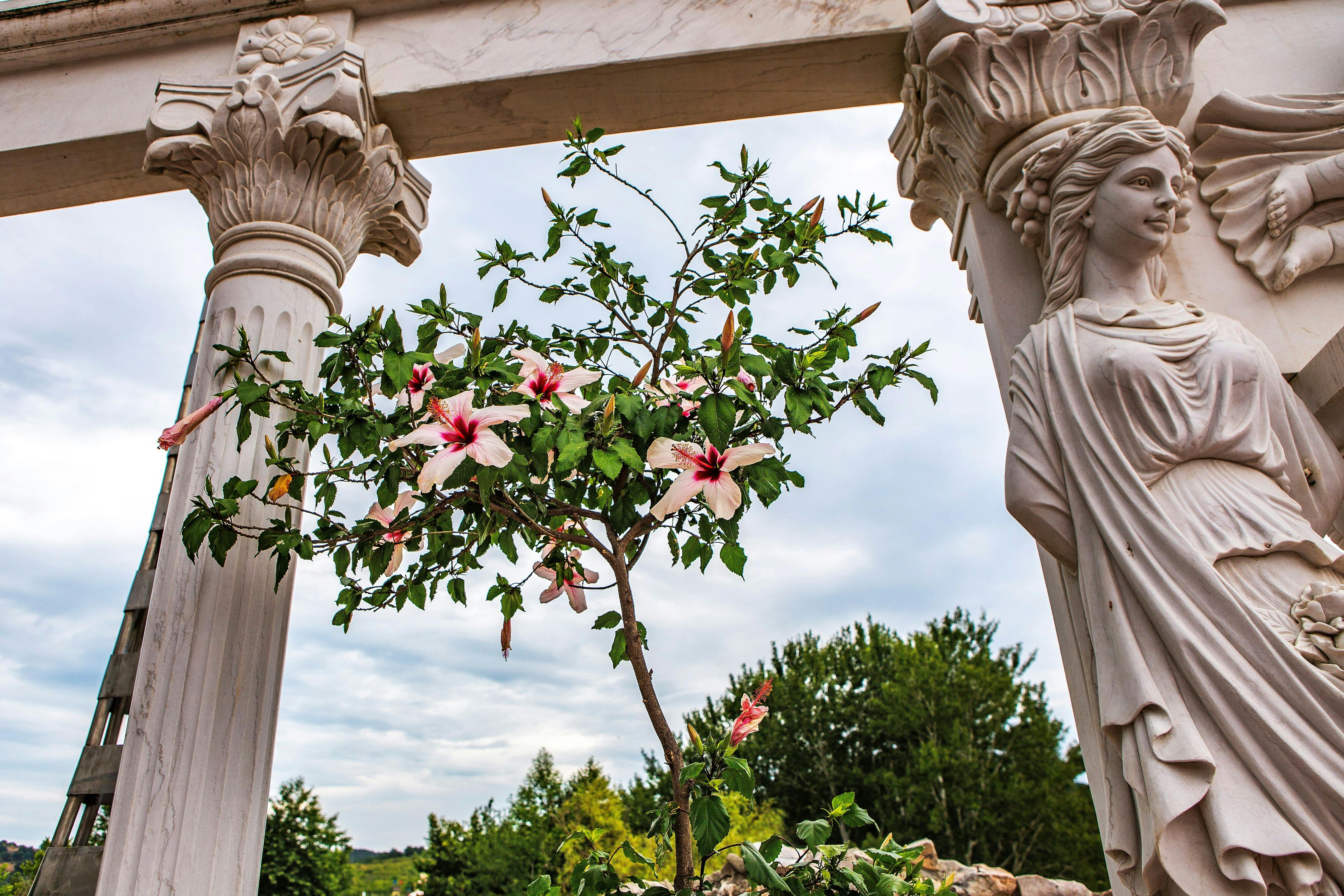 Sozopol & Ravadinovo Castle 3-in-1 Tour