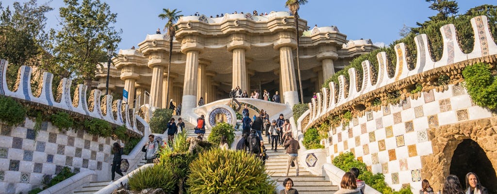 Bilety wstępu bez kolejki do parku Güell i wycieczka z przewodnikiem