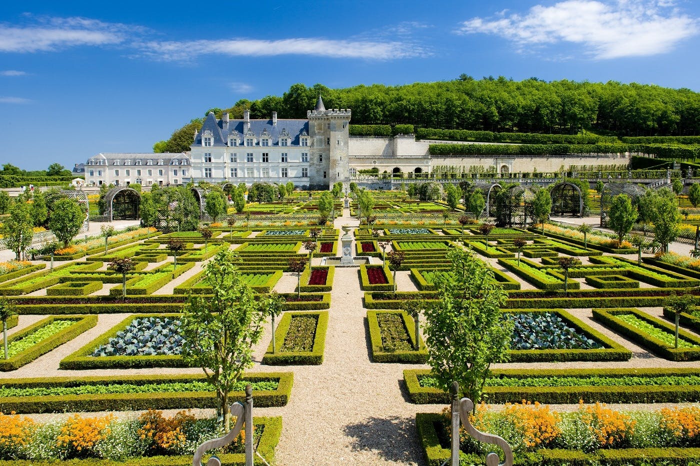 Private Tour of Châteaux Azay, Langeais, Villandry with Wine Tasting