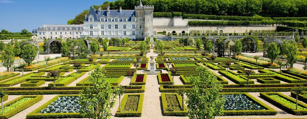 Day tour of Azay-le-Rideau, Langeais and Villandry with wine tasting from Tours