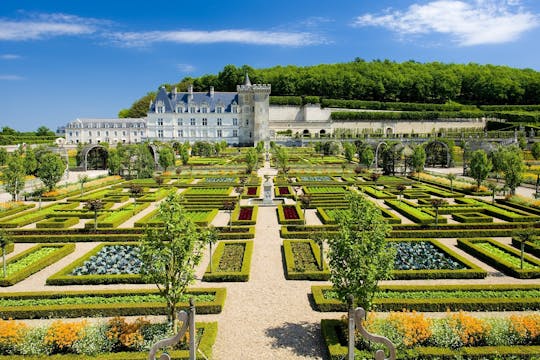 Private Tour of Châteaux Azay, Langeais, Villandry with Wine Tasting