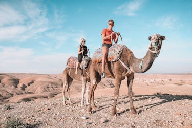 Giro in cammello nel deserto di Agafay con cena e musica dal vivo