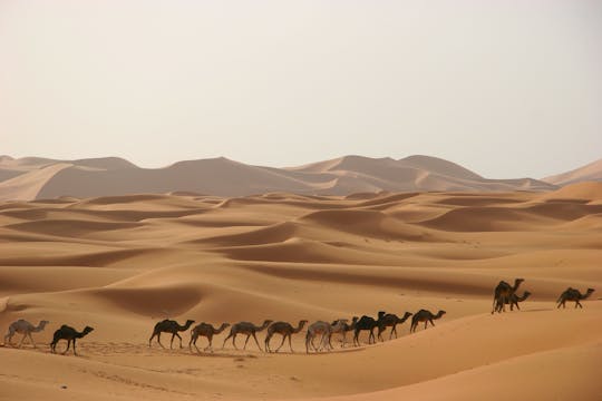 Excursión al desierto de Fez a Marrakech de 3 días y 2 noches