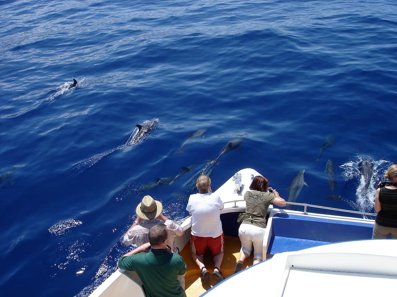 Northwestern La Palma Cruise