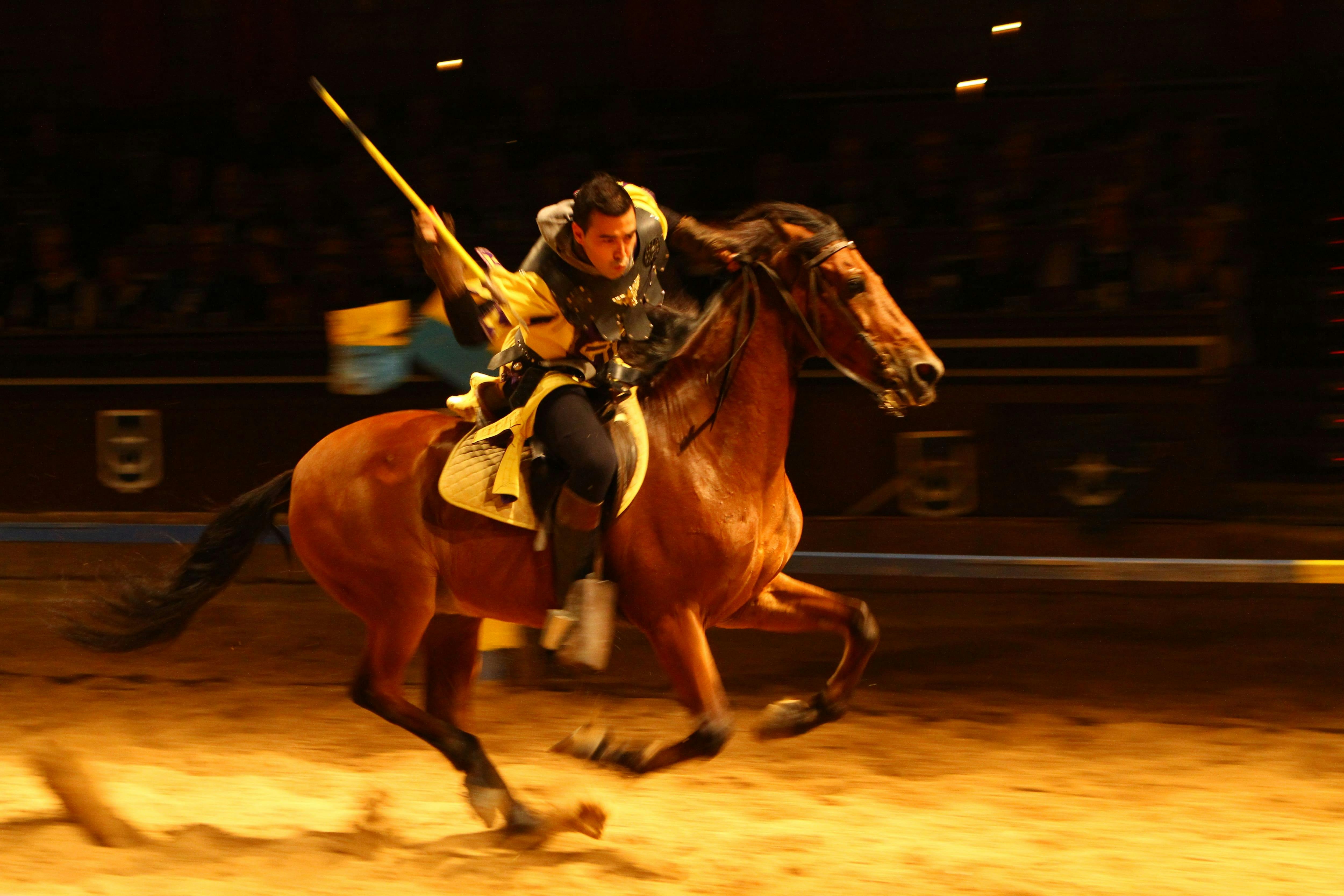 Tenerife Medieval Show Ticket