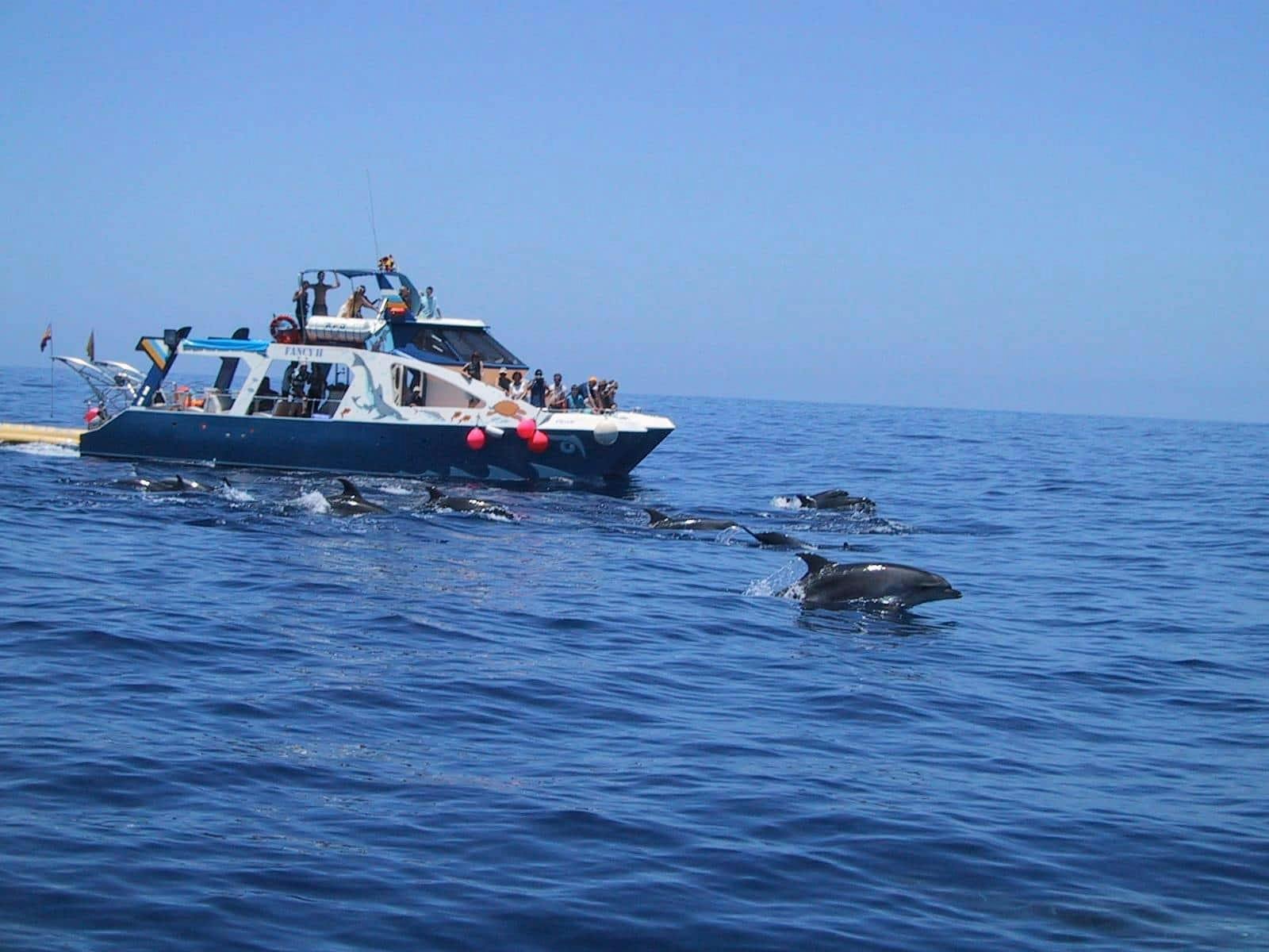 Crucero por la costa de La Palma con traslado