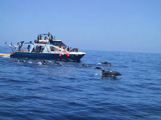 Crucero por la costa de La Palma con traslado
