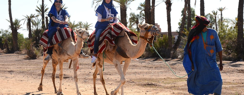 Palmeraie camel ride from Marrakech with tea break