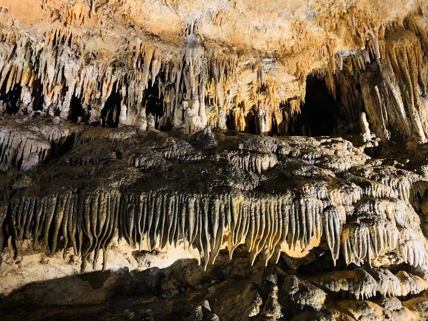 can i bring my dog to luray caverns