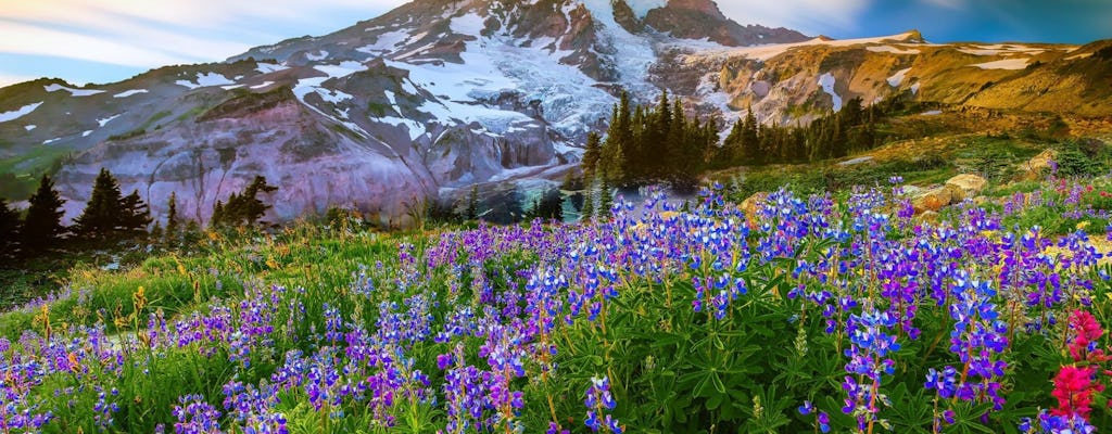 Mount Rainier National Park full-day tour from Seattle