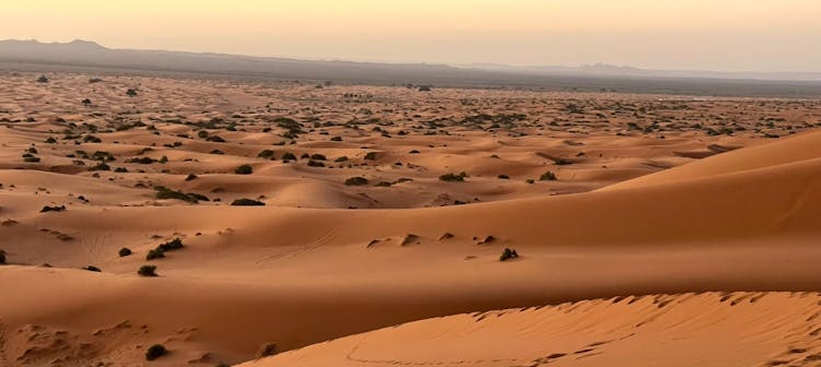 2-day private desert tour from Marrakech to Zagora