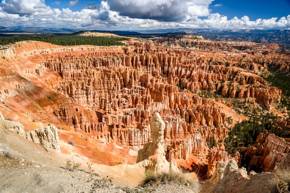 Nature in Bryce Canyon City  musement