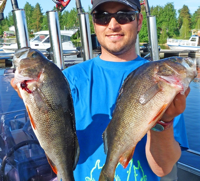 Jigging for Perch or Pike Perch musement