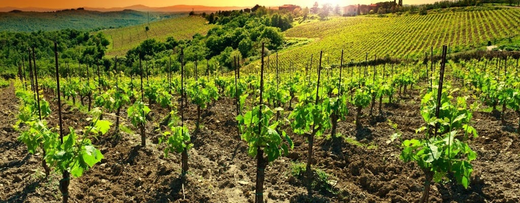 Chianti-zonsondergangexcursie met wijnproeverij en optioneel diner