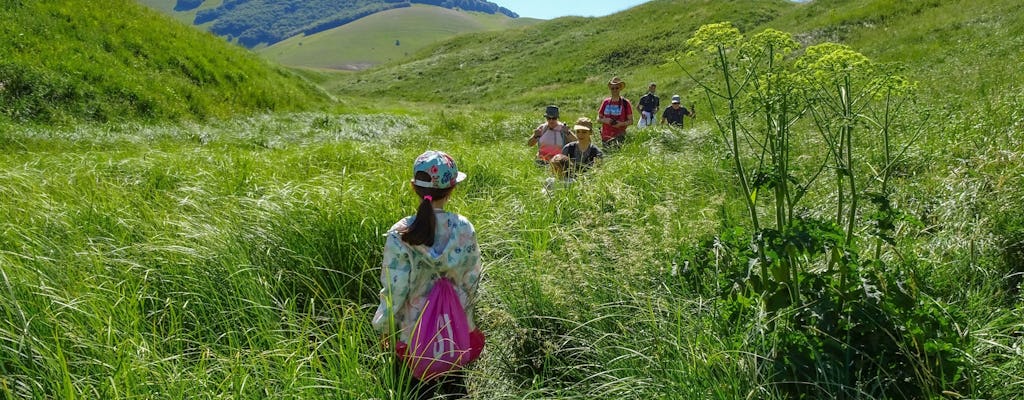 Peaceful 4-hour guided hiking tour around Norcia