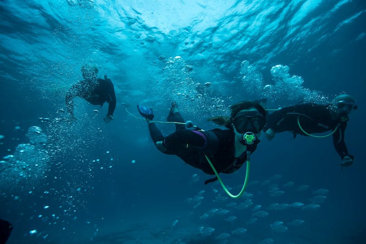 Lobos Island Peter Diving Experience