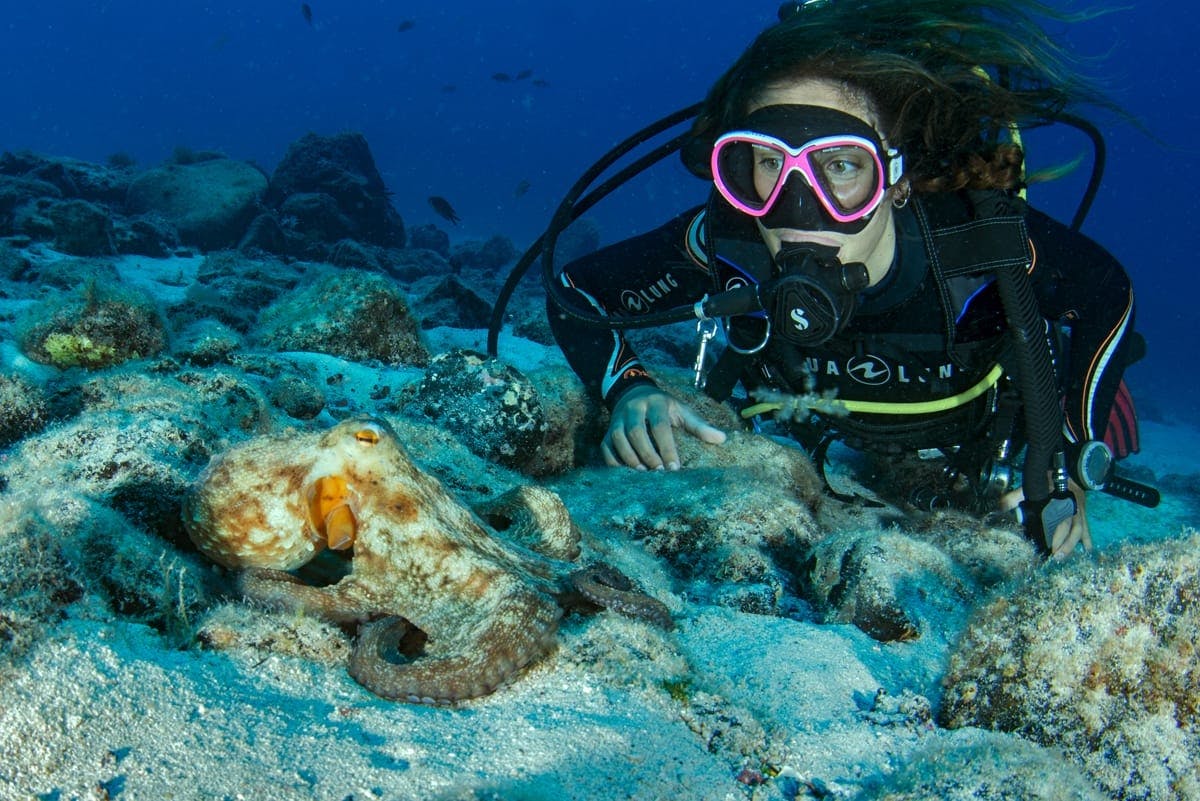 Double Scuba Diving Experience in Pool & Sea for Beginners in Corralejo