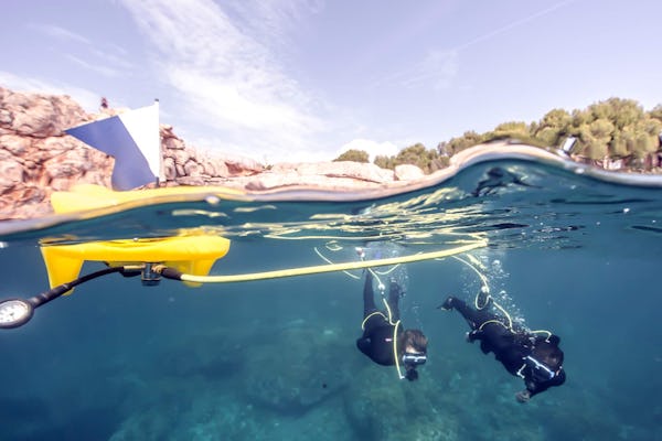 Lobos Island Peter Diving Experience