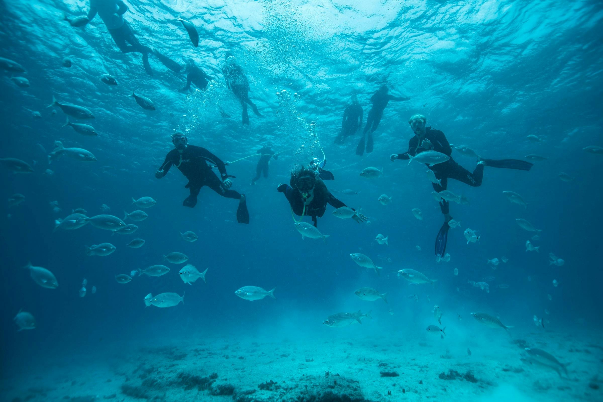 Lobos Island Peter Diving Experience