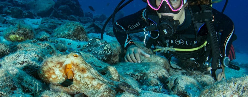 Double expérience de plongée sous-marine en piscine et en mer pour les débutants à Corralejo