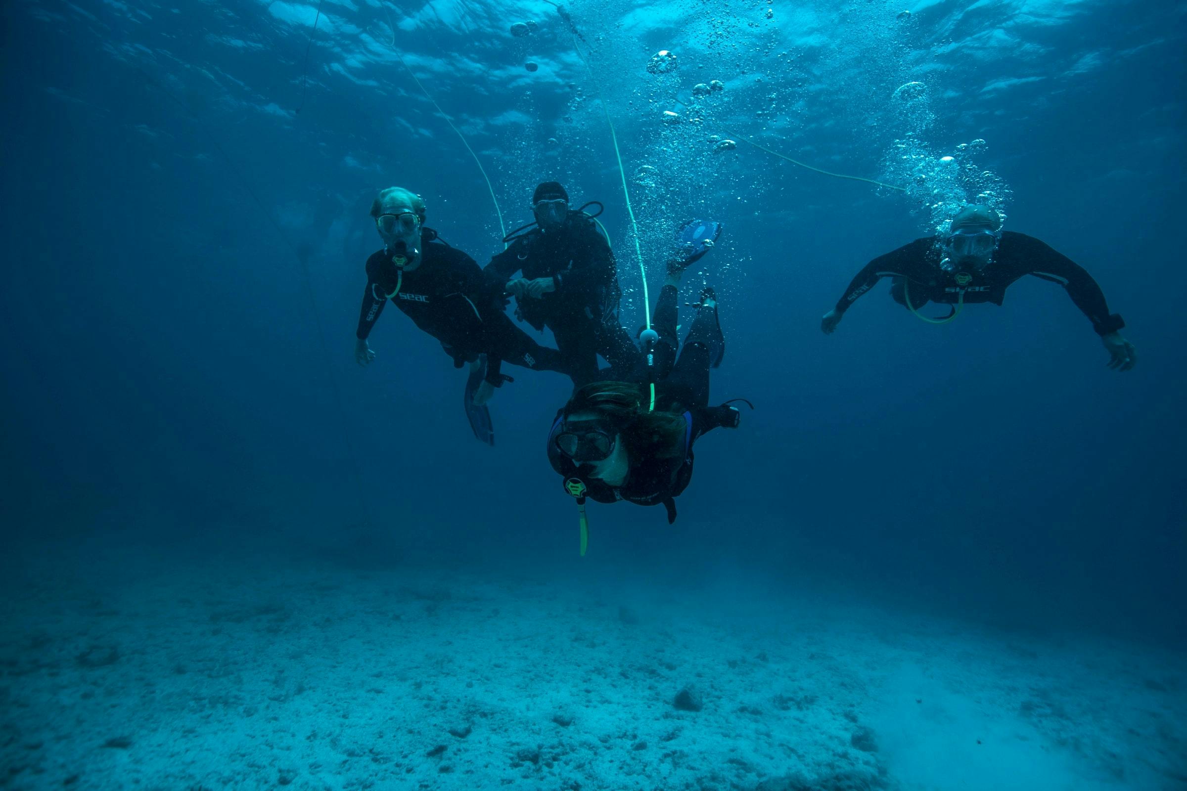 Lobos Island Peter Diving Experience