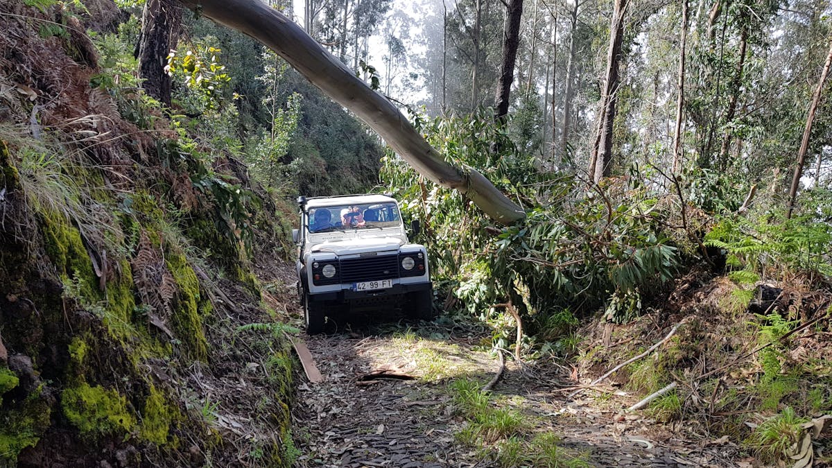 4x4 West Coast Tour