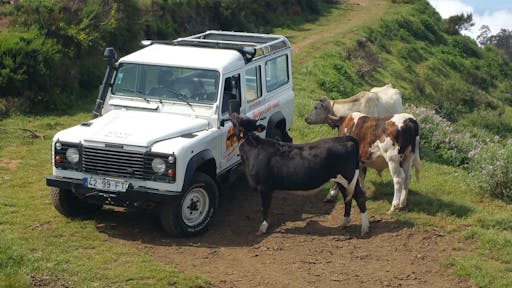 4x4 West Coast Tour