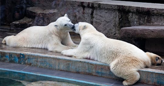Bilet do zoo i ogrodu botanicznego w Budapeszcie