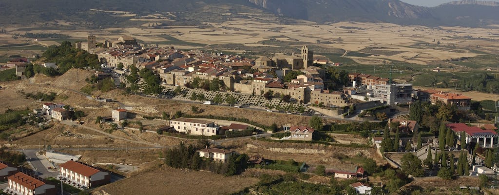 Région viticole de Vitoria et de la Rioja avec visite d'une cave d'une journée complète au départ de Bilbao