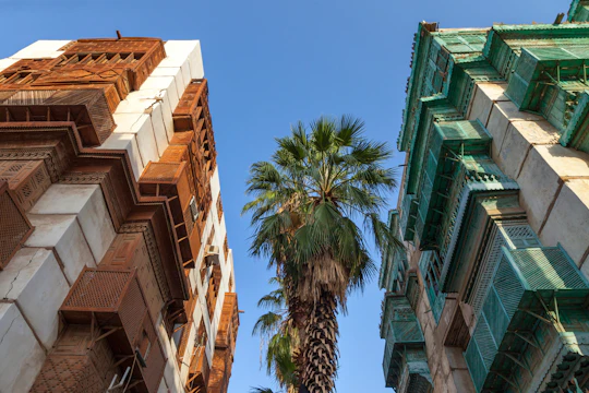 Jeddah heritage chronicles tour with lunch