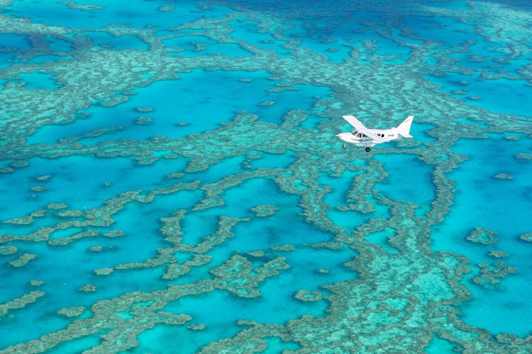 Ocean rafting 1-hour scenic flight