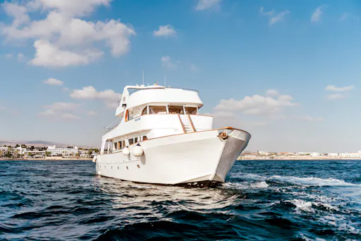 Sea Star Half-day Cruise from Paphos