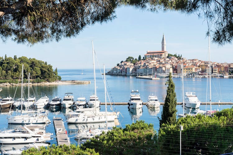 Istria Full Day Tour including Rovinj, Pula and Lunch in Grzini