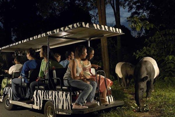 Toegangsticket voor het Singapore Night Safari-park inclusief tramrit