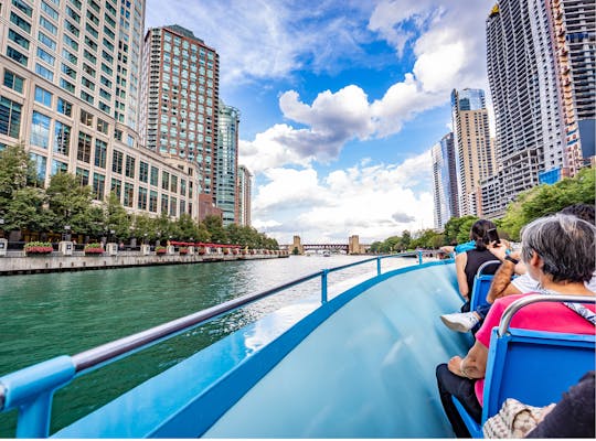 Ganztägige Tour zum Besten von Chicago