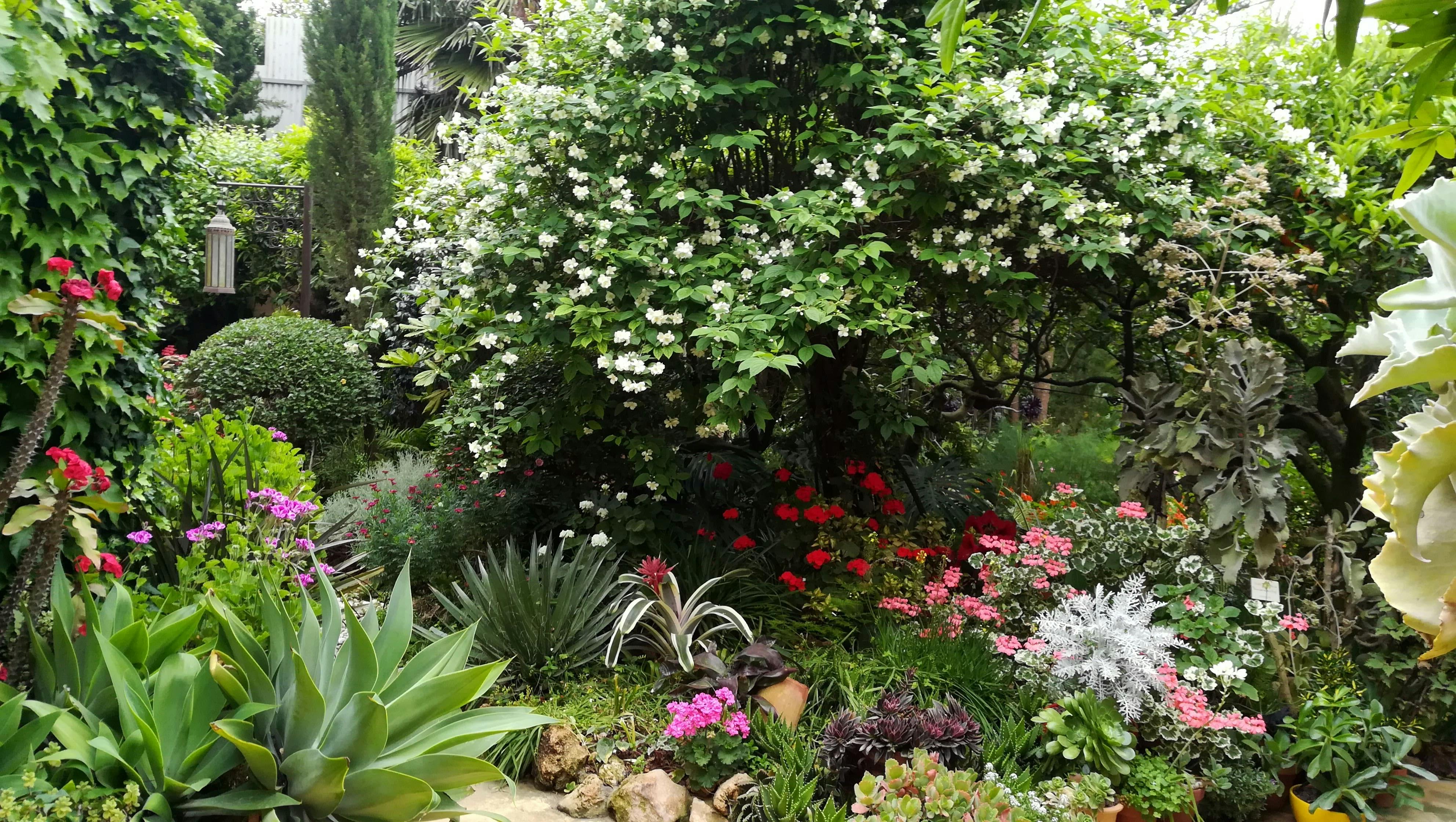 Nerja & Frigiliana Guided Tour with Botanical Garden